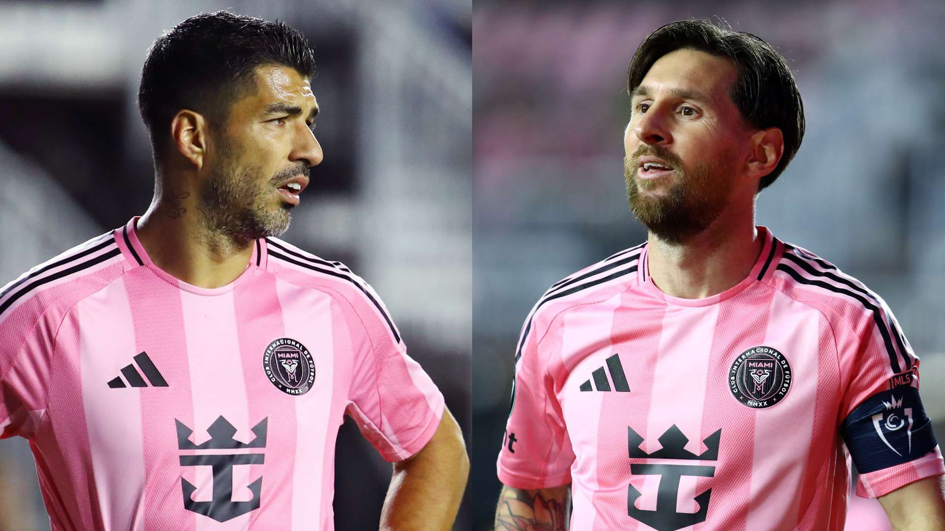 免签了切尔 免签了切尔